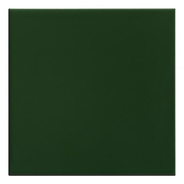 PM-565 Forest Green
